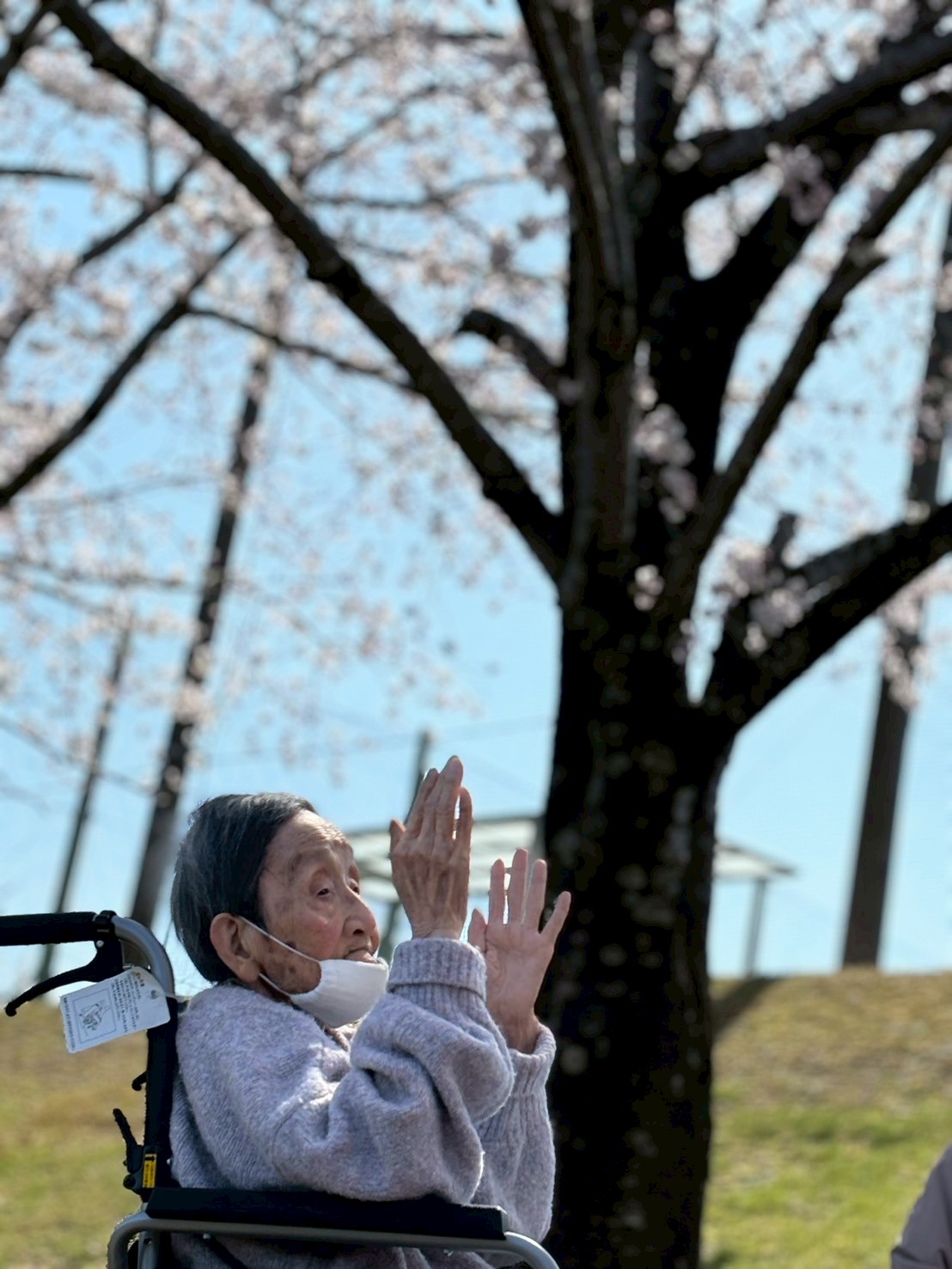 🌼お出かけしやすい季節になりました🌼